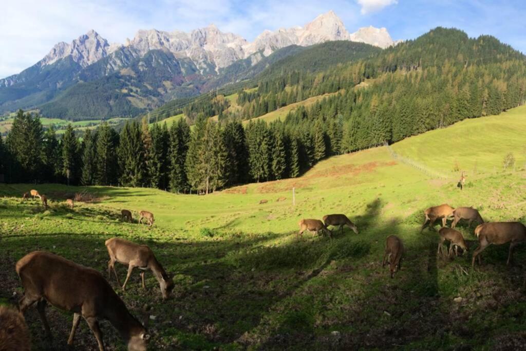 Sunny Apartment Maria Alm Esterno foto